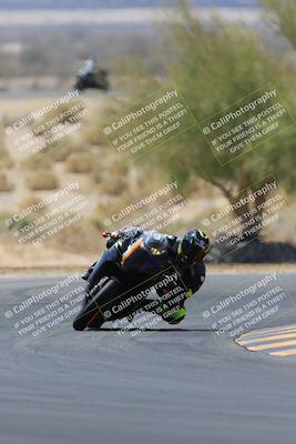 media/May-14-2023-SoCal Trackdays (Sun) [[024eb53b40]]/Turn 5 Tree of Life (1125am)/